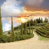 Putovanje u Toskanu je vredno iz mnogo razloga – od upoznavanja sa remek delima likovne umetnosti do istraživanja izuzetnih predela i degustacije vina i toskanskih specijaliteta.