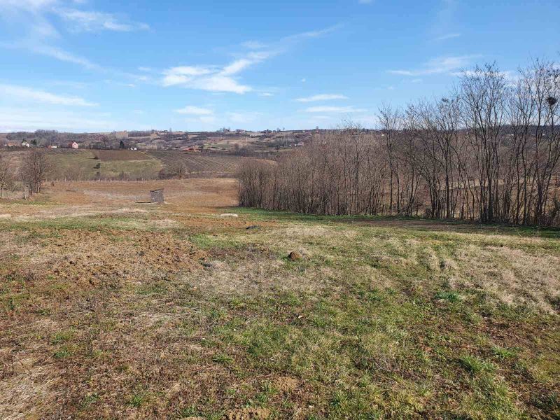 Topola-Gornja Šatornja, njiva 353 ara, - Prodaja Plac Zemljište Njiva Oglasi Beograd