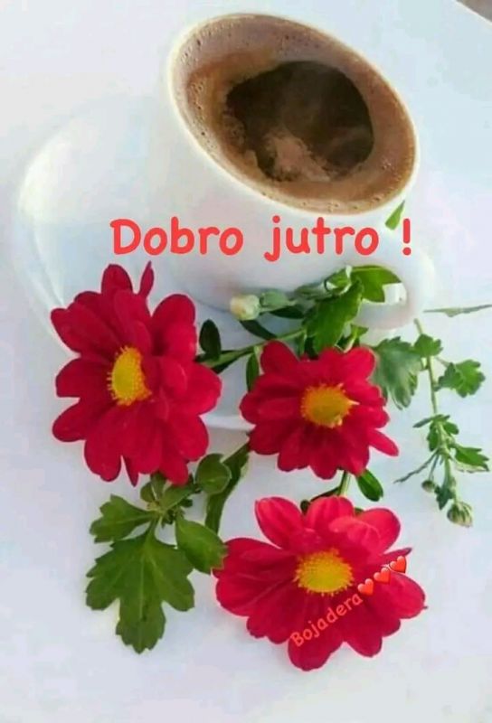 Negovateljica pruza negu pomoc u kuci 24 sata starijoj pokretnoj zeni u BEOGRADU - Ostale Usluge Oglasi Beograd