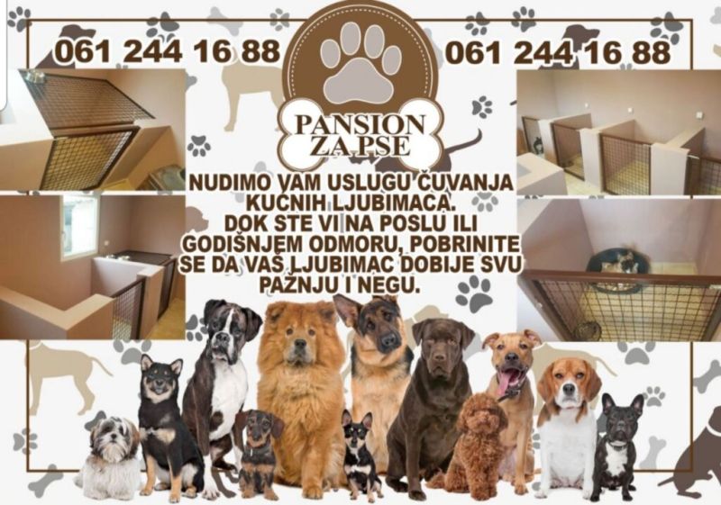 Pansion za pse - Subotica - Čuvanje i Nega Kućnih Ljubimaca Oglasi Beograd Pansion za pse - Subotica - Čuvanje i Nega Kućnih Ljubimaca Oglasi Beograd