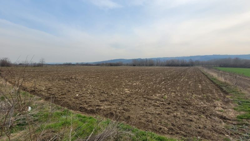 Parcela 1.8hektara (visokonaponska struja) ravna - Prodaja Plac Zemljište Njiva Oglasi Beograd