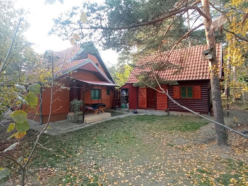 Divčibare smeštaj - Ostale Usluge Oglasi Beograd