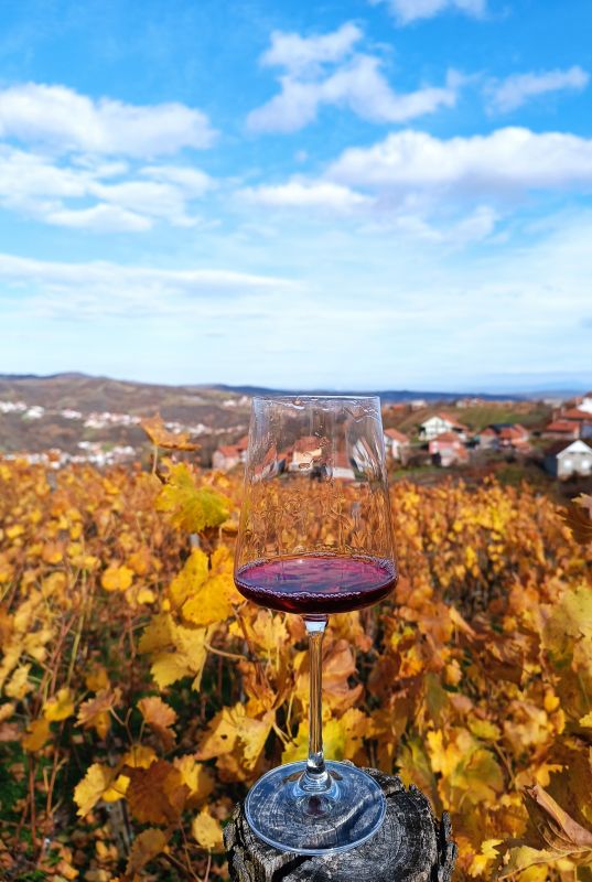 Domaća vina i rakij@ - Poljoprivredni Proizvodi Oglasi Beograd