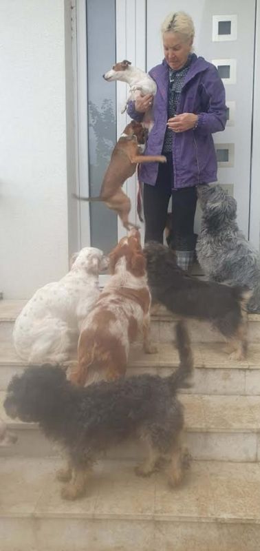 Potreban radnik u prihvatilištu za životinje - Tražim Bilo Koji Posao Oglasi Beograd