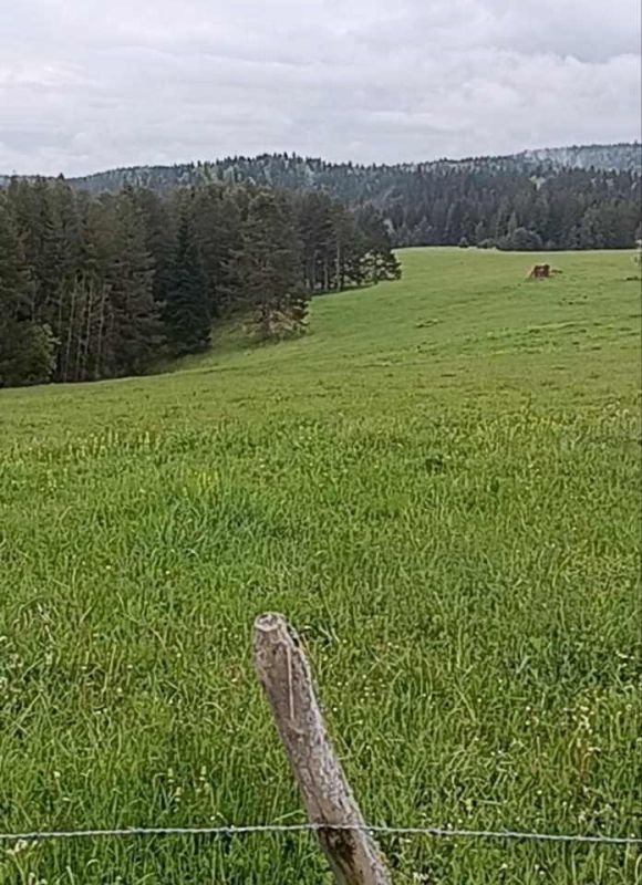 Prodajem placeve u blizini ski centra Igrišta i Han Pijeska - Prodaja Plac Zemljište Njiva Oglasi Beograd Prodajem placeve u blizini ski centra Igrišta i Han Pijeska - Prodaja Plac Zemljište Njiva Oglasi Beograd