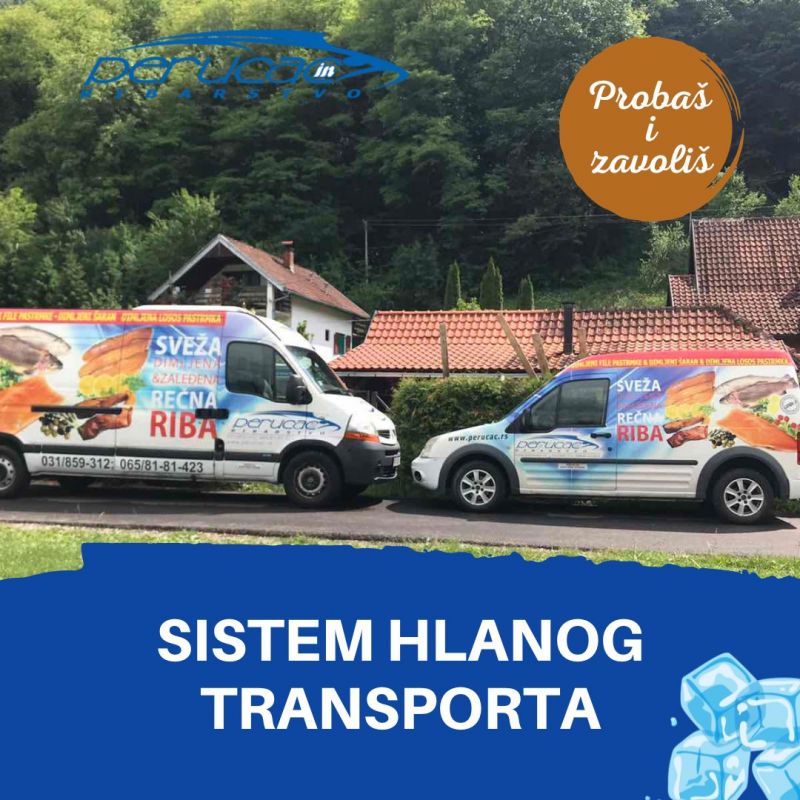 Vozač B kategorije - Vozila Servis i Usluge Oglasi Beograd