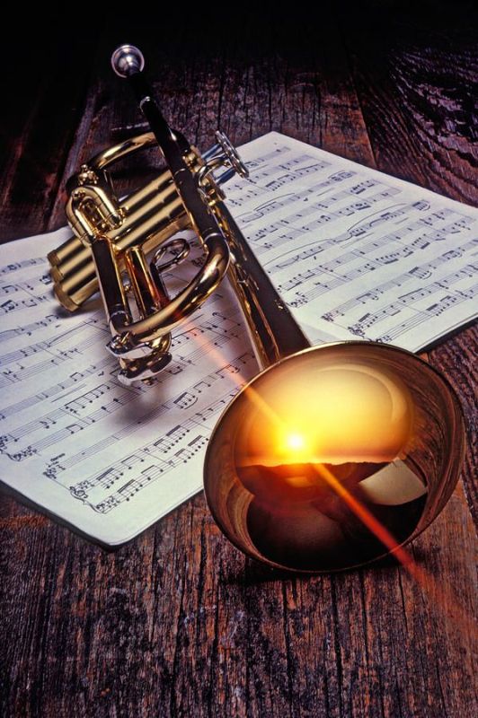 Trubaci Nemacka i SRBIJA - Muzičari Oglasi Beograd