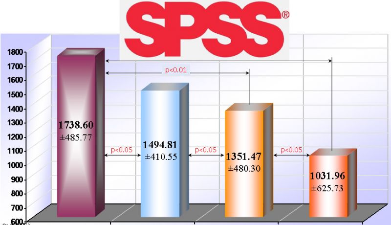 SPSS - EXCEL - STATISTIKA! - Podučavanje Usluge Oglasi Beograd