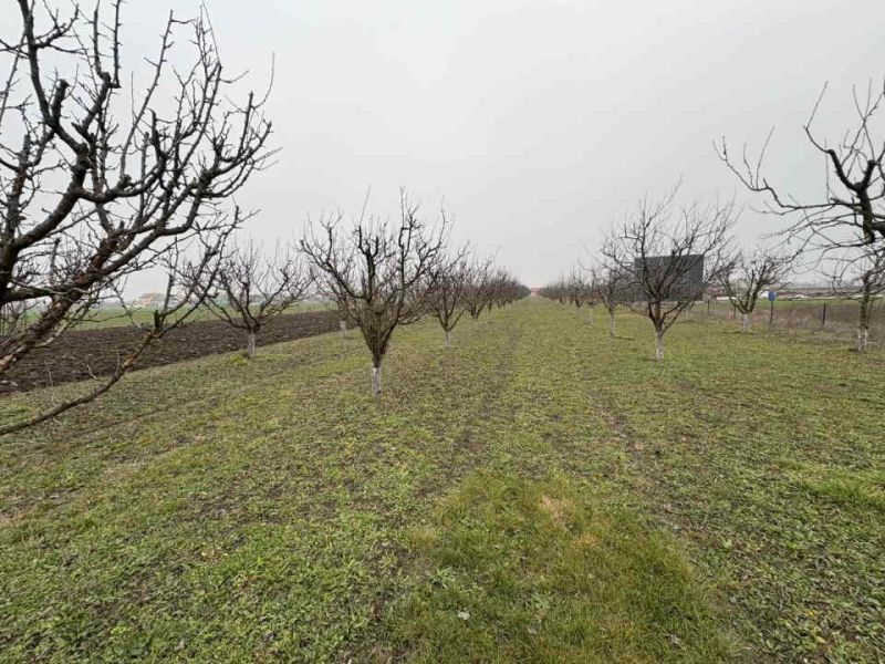 Plac Ugrinovci centar, 110 ari + voćnjak - Prodaja Plac Zemljište Njiva Oglasi Beograd