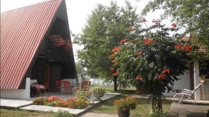Zakup kuće na Zlatiboru, najbolje za porodice ili društvo - Smeštaj Stan na Dan Oglasi Beograd Zakup kuće na Zlatiboru, najbolje za porodice ili društvo - Smeštaj Stan na Dan Oglasi Beograd