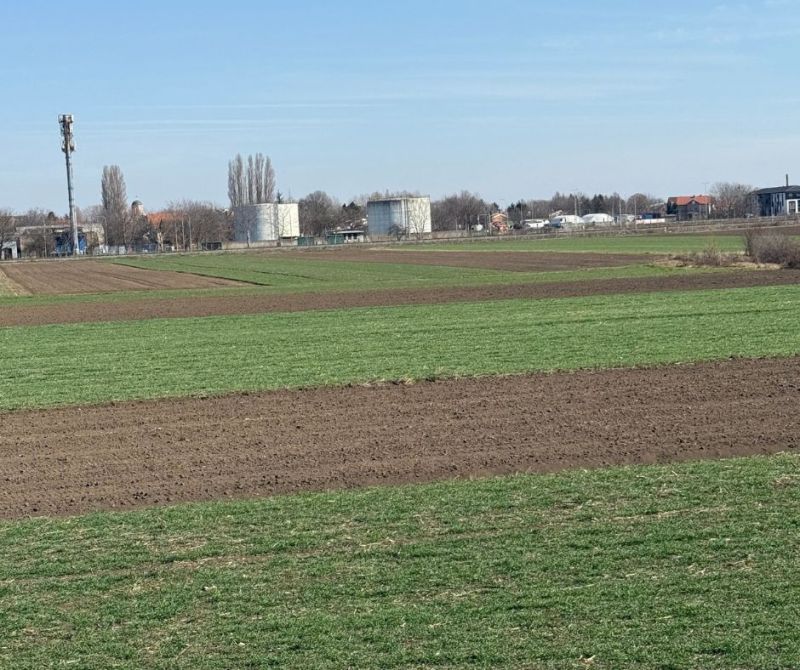 Batajnica, građevinsko zemljište - Prodaja Plac Zemljište Njiva Oglasi Beograd
