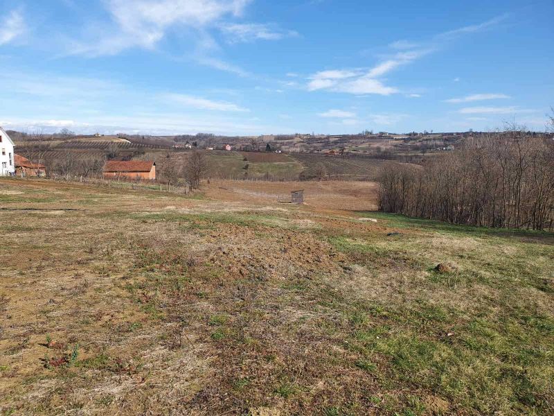 Topola-Gornja Šatornja, njiva 353 ara - Izdavanje Rentiranje Plac Zemljište Njiva Oglasi Beograd