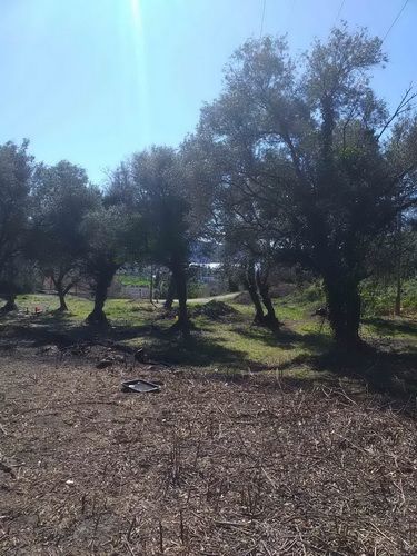 Herceg Novi, građevinski placevi na 1.7 km od centra - Prodaja Plac Zemljište Njiva Oglasi Beograd Herceg Novi, građevinski placevi na 1.7 km od centra - Prodaja Plac Zemljište Njiva Oglasi Beograd