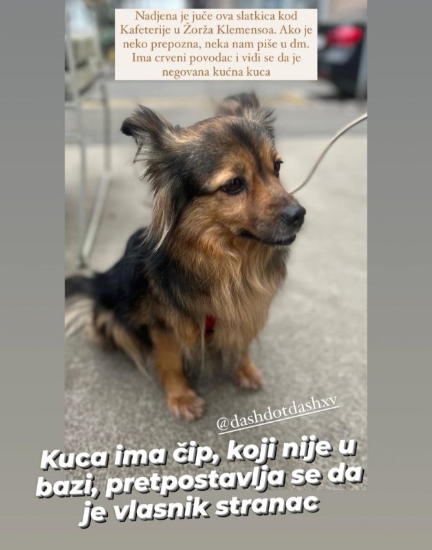 Da li je neko traži? - Izgubljeni i Nađeni Ljubimci Oglasi Beograd Da li je neko traži? - Izgubljeni i Nađeni Ljubimci Oglasi Beograd
