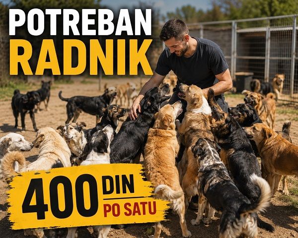 Potreban radnik – POŽAREVAC - Tražim Bilo Koji Posao Oglasi Beograd