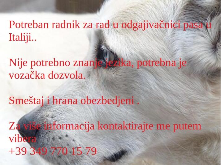 Radnik u odgajivačnici - Tražim Bilo Koji Posao Oglasi Beograd