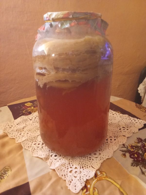 Prodajem KOMBUHU - Lekovita Sredstva i Trave Oglasi Beograd