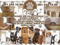 Pansion za pse - Subotica :: Čuvanje i Nega Kućnih Ljubimaca Oglasi Beograd