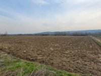 Parcela 1.8hektara (visokonaponska struja) ravna :: Prodaja Plac Zemljište Njiva Oglasi Beograd