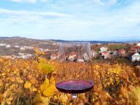 Domaća vina i rakij@ :: Poljoprivredni Proizvodi Oglasi Beograd