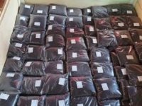 Perko seme - Stočni kelj AKCIJA :: Seme Cveće Sadnice Oglasi Beograd