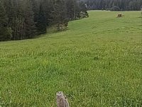 Prodajem placeve u blizini ski centra Igrišta i Han Pijeska :: Prodaja Plac Zemljište Njiva Oglasi Beograd
