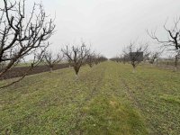 Plac Ugrinovci centar, 110 ari + voćnjak :: Prodaja Plac Zemljište Njiva Oglasi Beograd