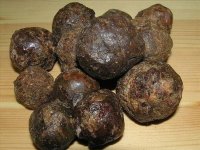 Propolis rastvor :: Poljoprivredni Proizvodi Oglasi Beograd