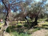 Herceg Novi, građevinski placevi na 1.7 km od centra :: Prodaja Plac Zemljište Njiva Oglasi Beograd