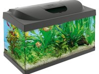 POKLANJAM VELIK TETRA JUWEL AKVARIJUM OD 105 LITARA, ISKLJUČIVO OZBILJNOJ I ODGOVORNOJ OSOBI! :: Ribice Oglasi Beograd