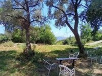 Herceg Novi, građevinski placevi na 1.7 km od centra :: Prodaja Plac Zemljište Njiva Oglasi Beograd