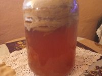 Prodajem KOMBUHU :: Lekovita Sredstva i Trave Oglasi Beograd