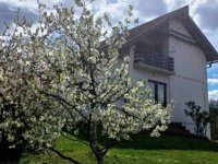 Prodajem porodičnu stambenu kuću u Bajinoj Bašti, naselje Višesava :: Kupovina Kuća Oglasi Beograd