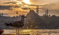 Istanbul Putovanje Jesen 2022 Autobusom 5 dana 3 noćenja po povoljnoj jeftinoj ceni i first minute ponuda Vaš Falcon Travel. Doživite Istanbul sa nama