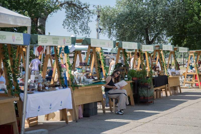 Veliki Broj Novobeograđana na Festivalu Stvarno Zdravo Veliki Broj Novobeograđana na Festivalu Stvarno Zdravo