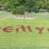 Cvetnjak u obliku natpisa ”Zemun”, na škarpi ispred spomenika ”Stara Železnička stanica”, na Keju oslobođenja formiran je od sezonskog cveća...