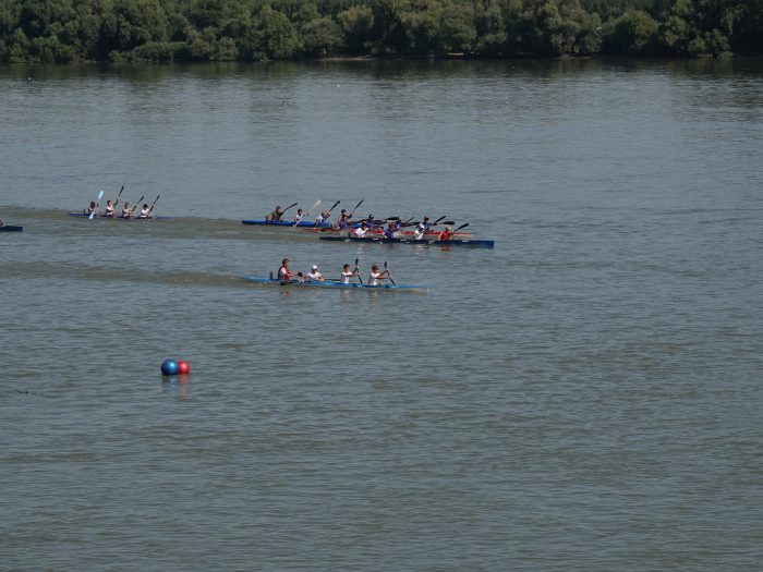 Vikend Gužva na Dunavu Čamci Regata