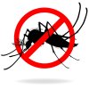 Ekipe JKP ”Gradska čistoća”, Sektor ekologije i unapređenja životne sredine, sprovešće u subotu, 19. juna mere kontrole i smanjenja populacije komaraca...