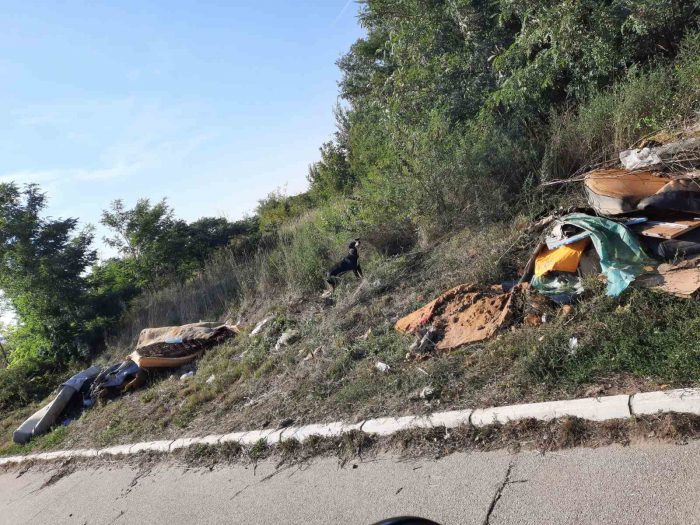 Uređenje Privredne Zone u Zemunu Uređenje Privredne Zone u Zemunu