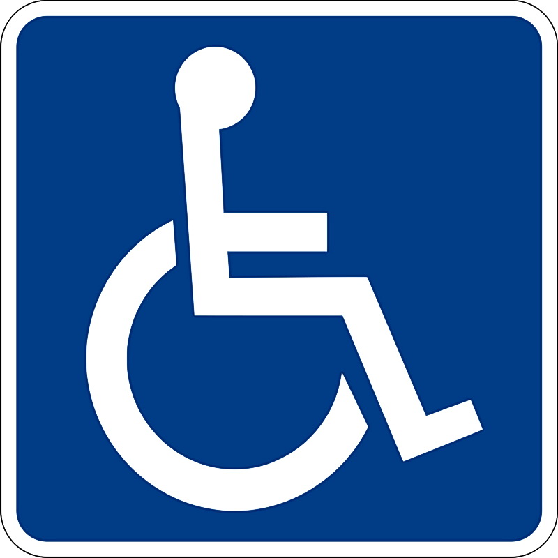 GO Zvezdara Obeležava Međunarodni Dan Osoba sa Invaliditetom