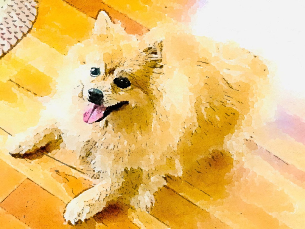 Naslikajte Kućnog Ljubimca kao Originalan Poklon Portret Psa